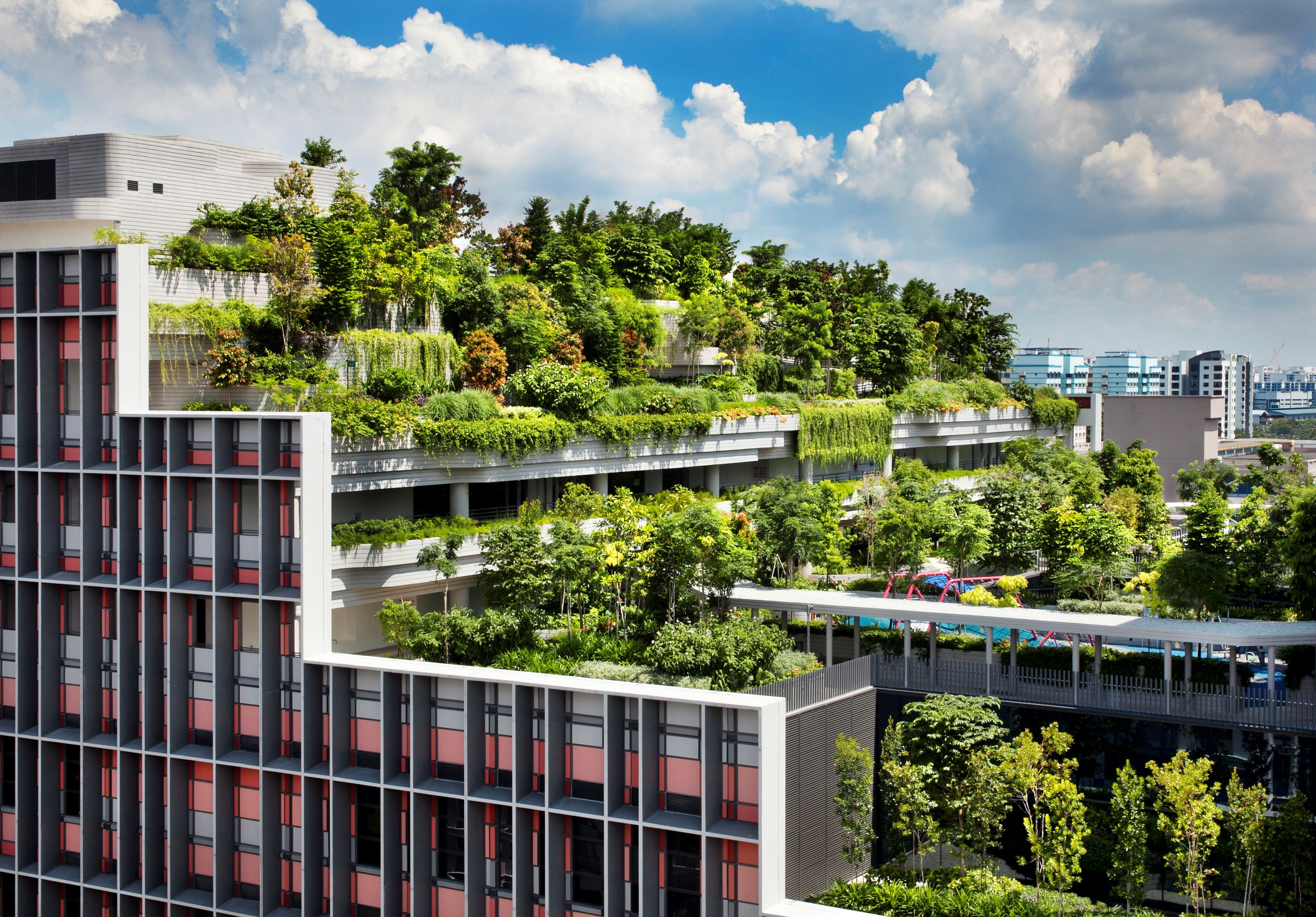 INTEGRATING WITH NATURE: Kampung Admiralty 與植物共生 - 體貼老年人的梯田式綠社區