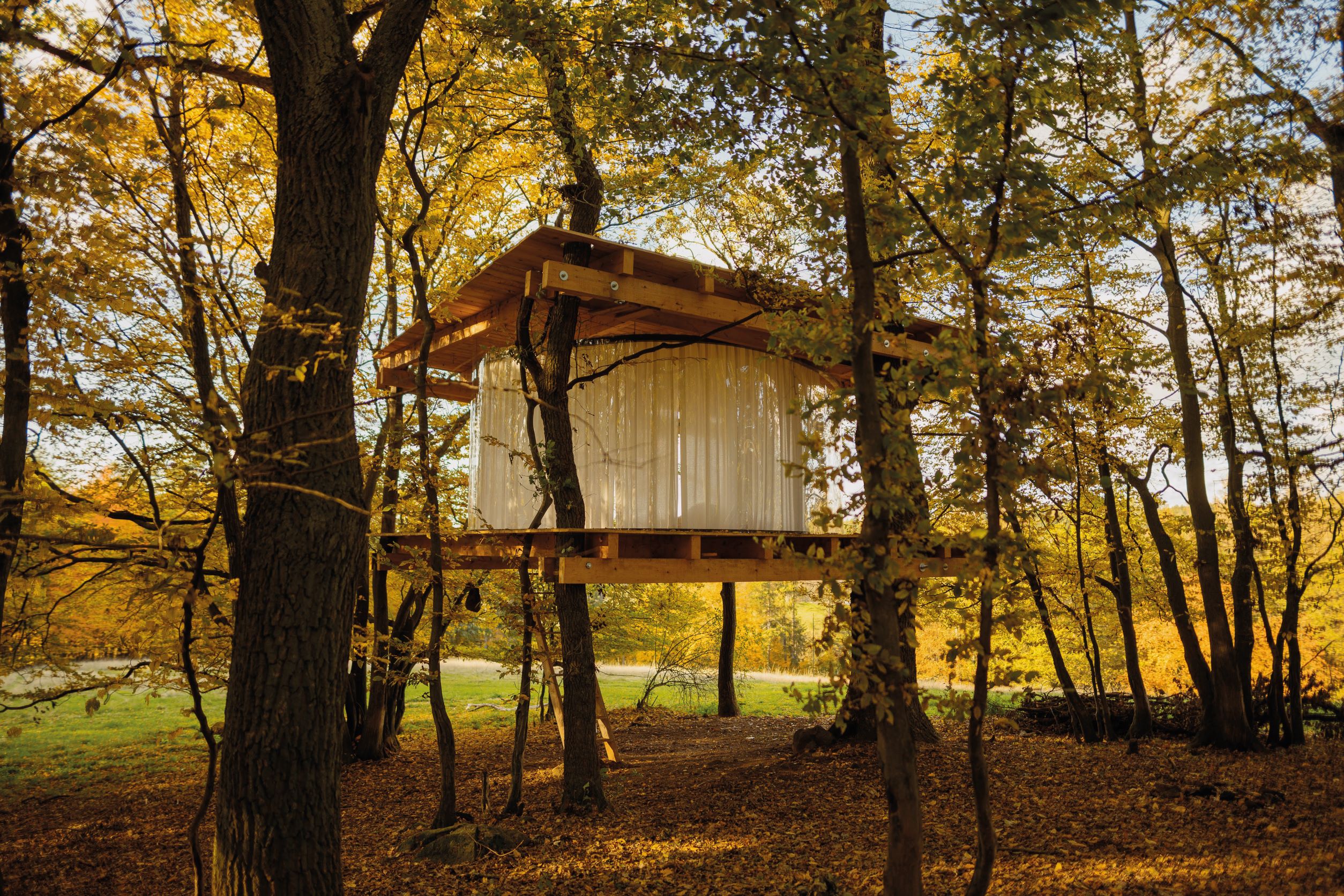 MODERN TREE HOUSES:  TREEHOUSE IN HRUSICE 新概念夢幻樹屋 - 360 度全景透明樹屋