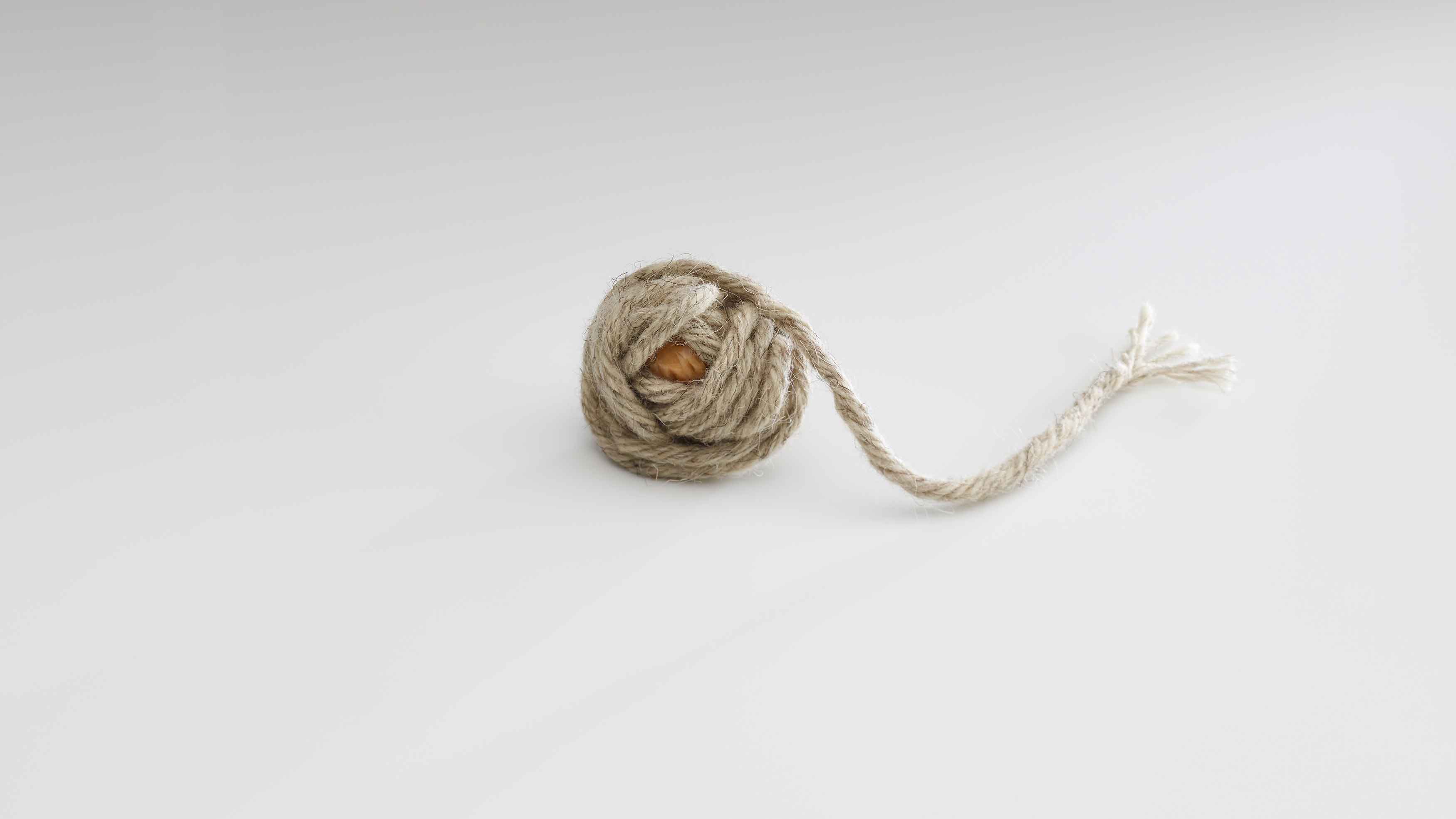 以毛線捆起的「糖果麩質球 Candy : Gluten Ball」，是一道引發人們好奇心的新料理。（© José Luis López de Zubiría）